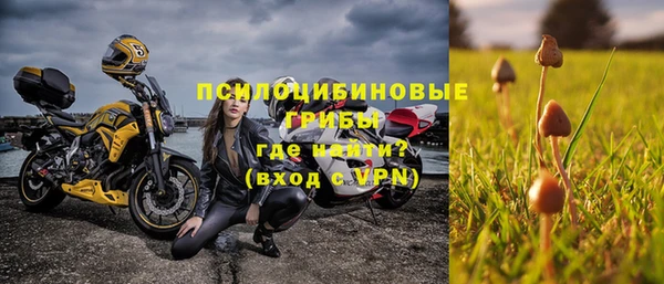 дурь Надым