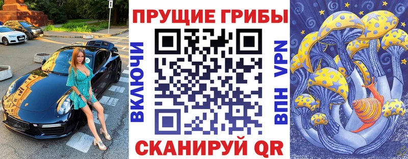 Галлюциногенные грибы Psilocybine cubensis  блэк спрут как войти  Вологда 