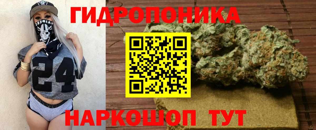 Марихуана конопля Вологда